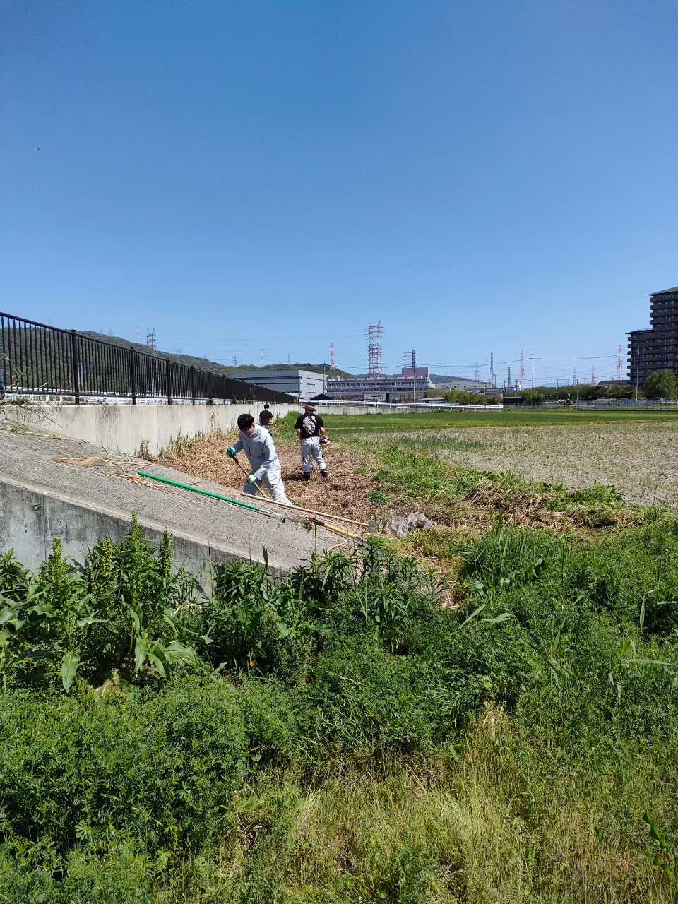 高槻市-管理実績-3