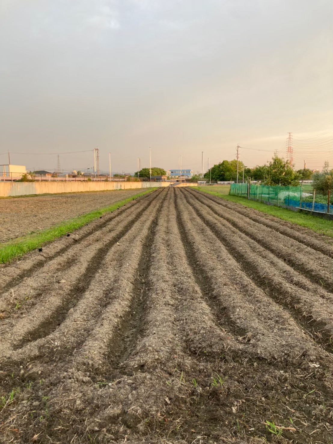 高槻市-管理実績-4