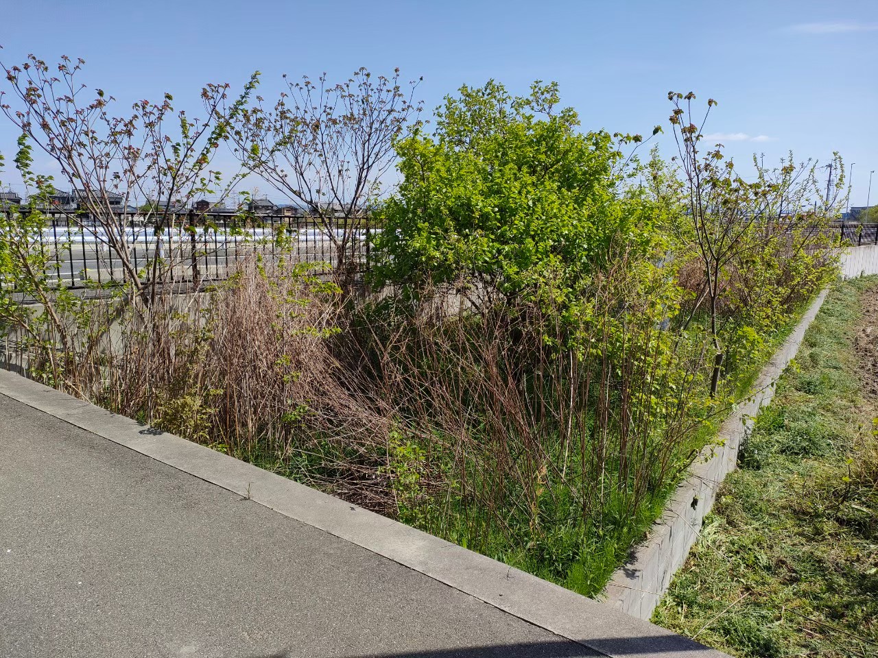 高槻市-管理実績-5